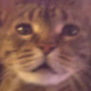 Meet your Posher, Jackie